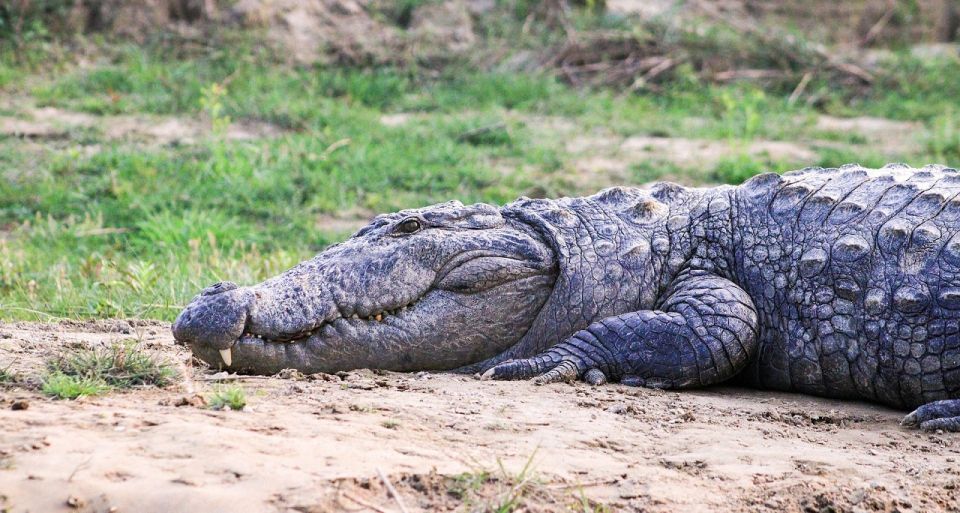 From Kathmandu: Guided 3-Days Bardia National Park Tour - Inclusions and Activities