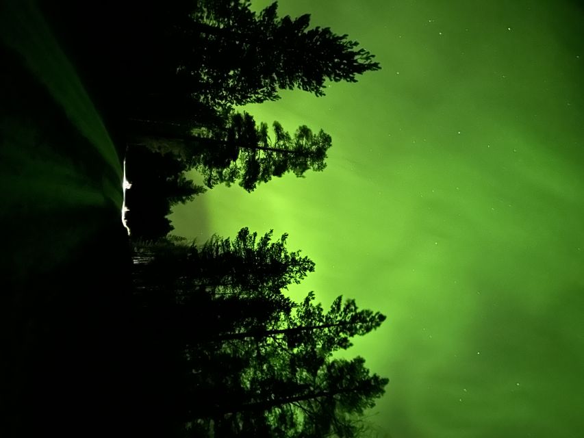 From Kiruna: Abisko National Park Northern Lights Tour - What to Bring