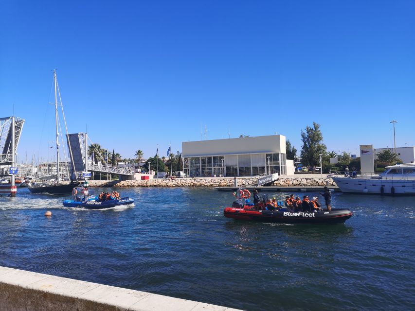 From Lagos: Dolphin Watching Boat Trip - Inclusions and Exclusions