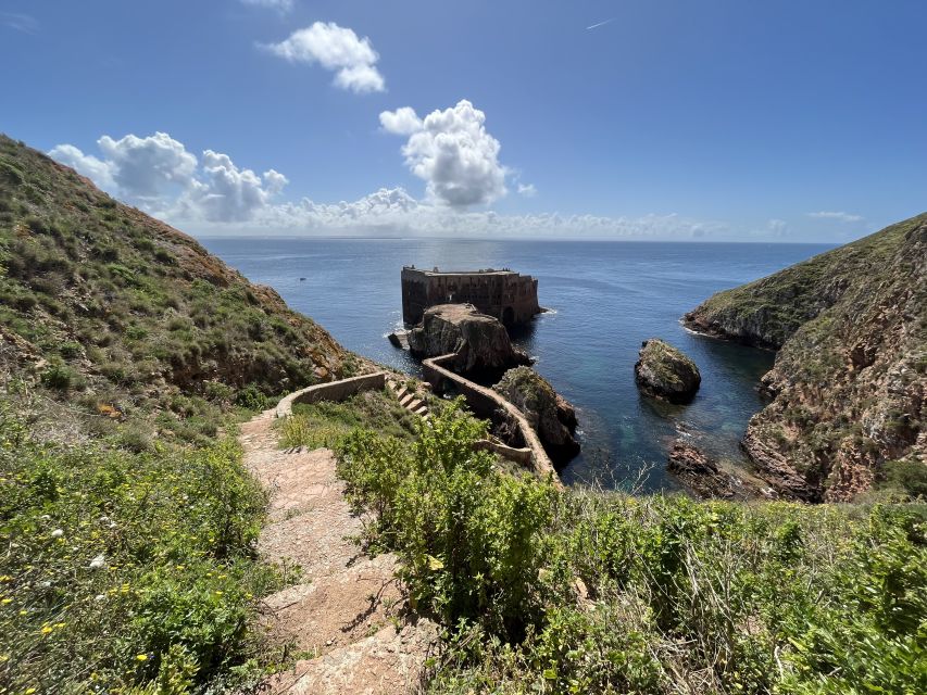 From Lisbon: Berlenga Grande Sightseeing Tour - Island Trails and Boat Tour