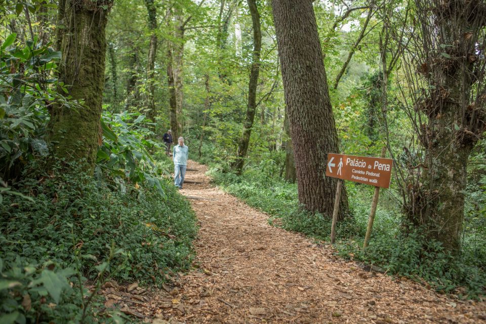 From Lisbon: Sintra, Roca Cape & Cascais Guided Walking Tour - Suitability and Availability