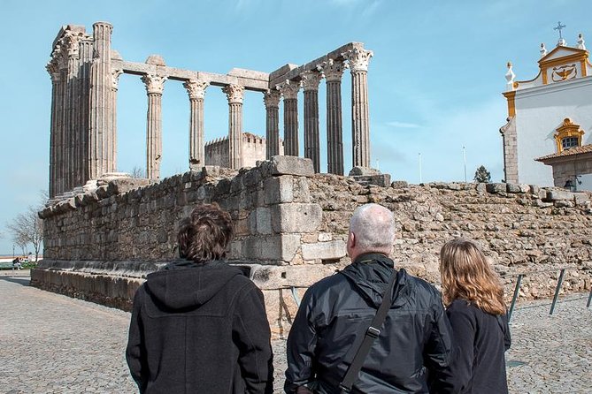 From Lisbon to Alentejo: Évora and Megaliths Full-Day Tour - Private Tour Experience