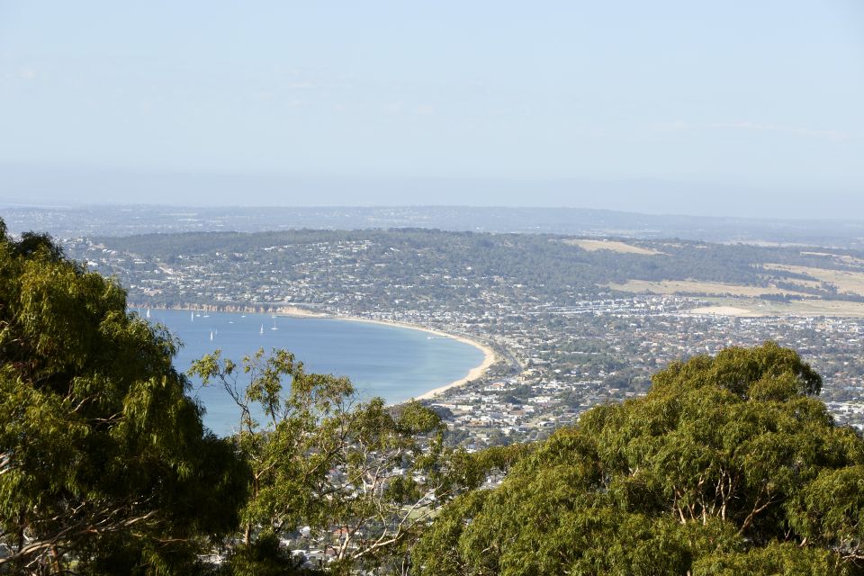 From Melbourne: Bay Sightseeing and Ferry Ride With Lunch - Important Information