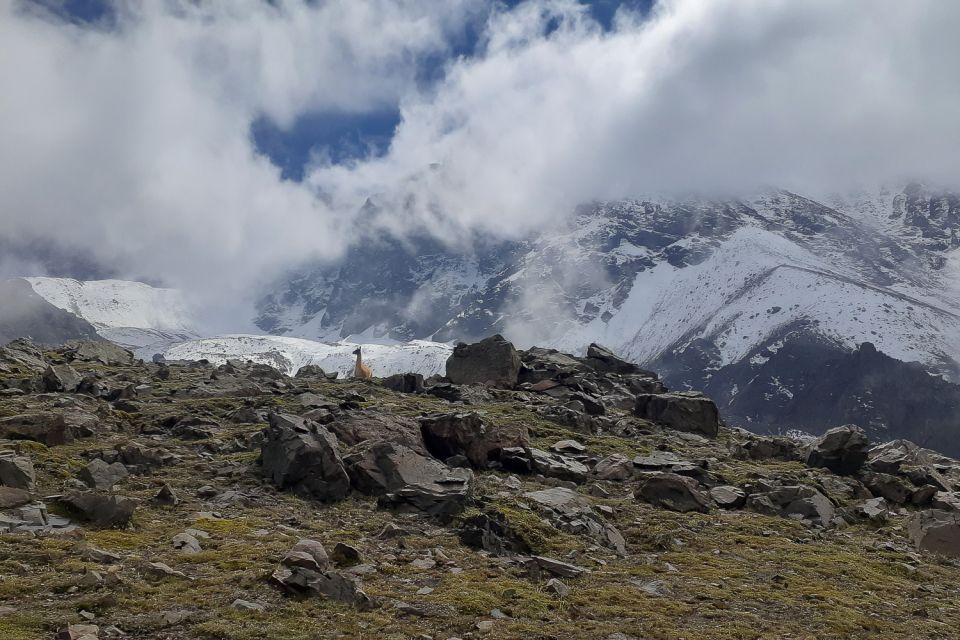 From Mendoza: Full-Day Cordon Del Plata Andes Trek - Customer Ratings