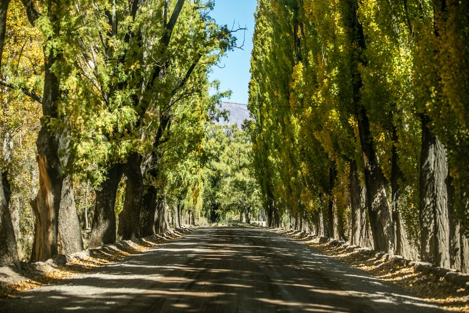 From Mendoza: Villavicencio, Uspallata Private Tour With BBQ - Traditional Argentine Asado