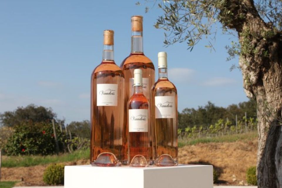 From Nice: Château Vaudois Private Tour With Picnic Lunch - Wine Tasting Experience