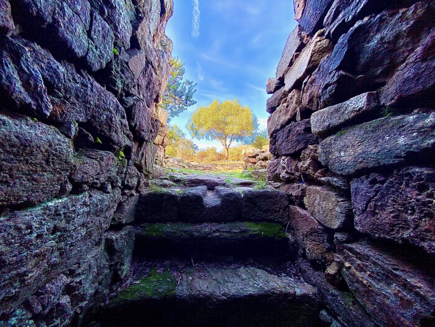 From Olbia: Sardinia Archaeological Tour - Accessibility