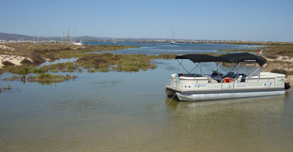 From Olhão: Ria Formosa & Culatra Island 3.5-Hour Boat Trip - What to Expect