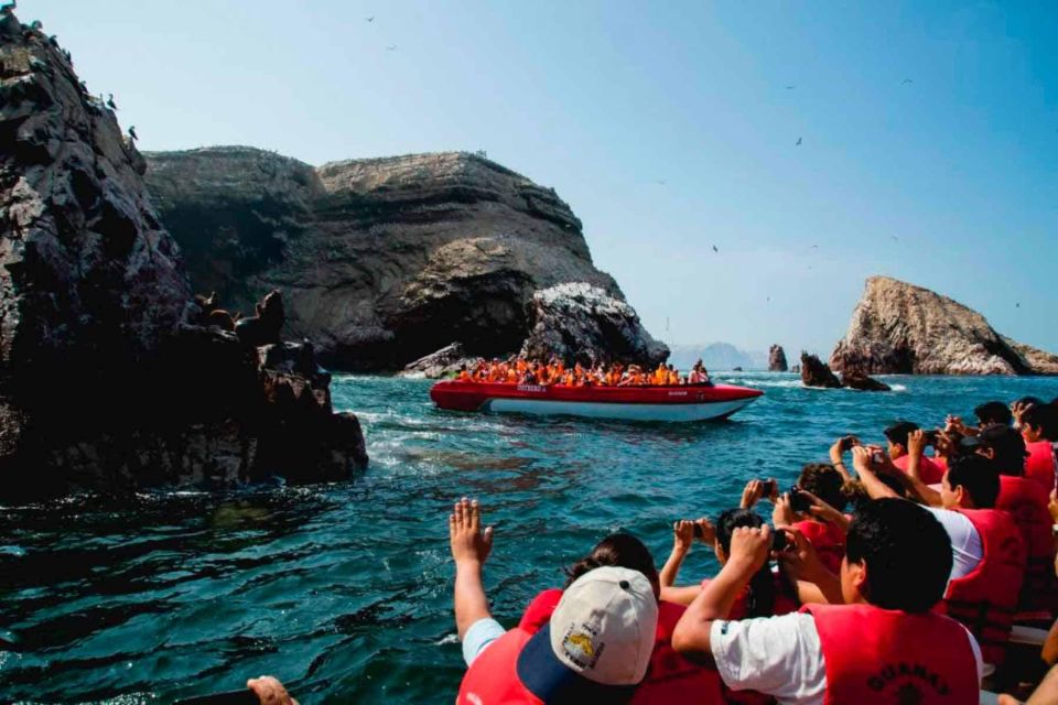 From Paracas || Excursion to the Ballestas Islands ||3 Hours - Customer Feedback