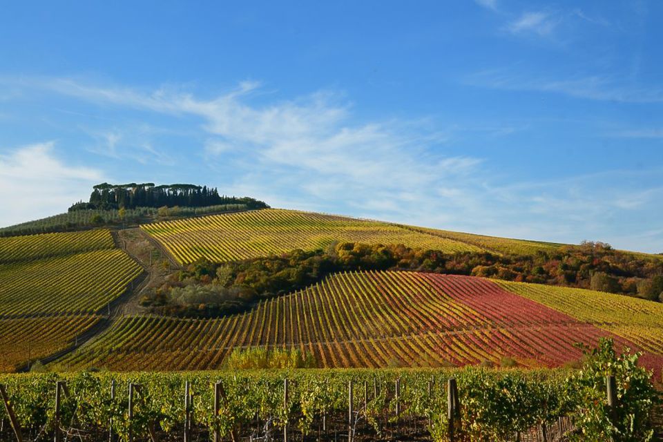 From Pisa or Lucca: Half-Day Tuscany Chianti Wine Tasting - Additional Information