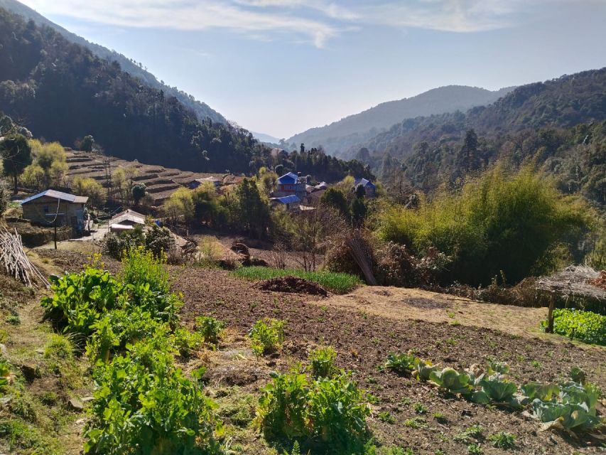 From Pokhara: 10-Day Poon Hill and Annapurna Base Camp Trek - Recommendations for Preparation
