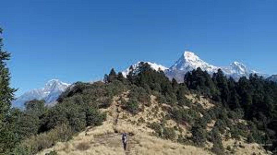 From Pokhara: 3 Night 4 Days Mohare Danda & Poon Hill Trek - Booking Process