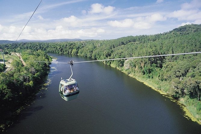From Port Douglas Tour Including Kuranda, Skyrail & Scenic Train - Inclusion and Accessibility
