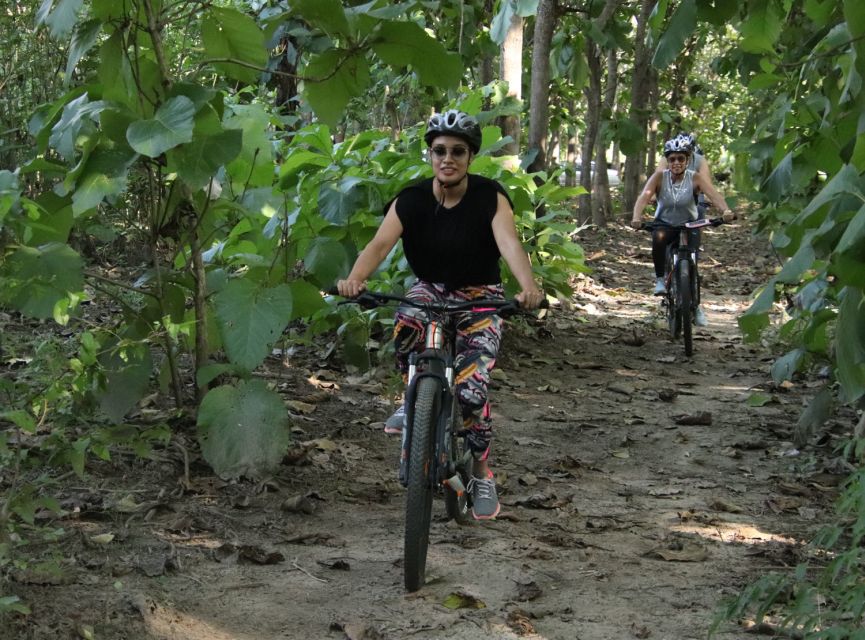 From Puerto Vallarta: Jungle Mountain Bike Tour - Biking Through Mountainous Forest Trails