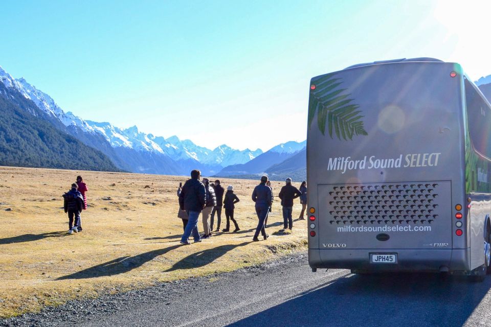 From Queenstown: Milford Sound Premium Day Tour and Cruise - Traveler Experiences