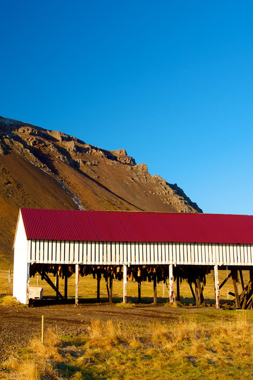 From Reykjavik: Wonders of Snaefellsnes Private Tour - Booking Information