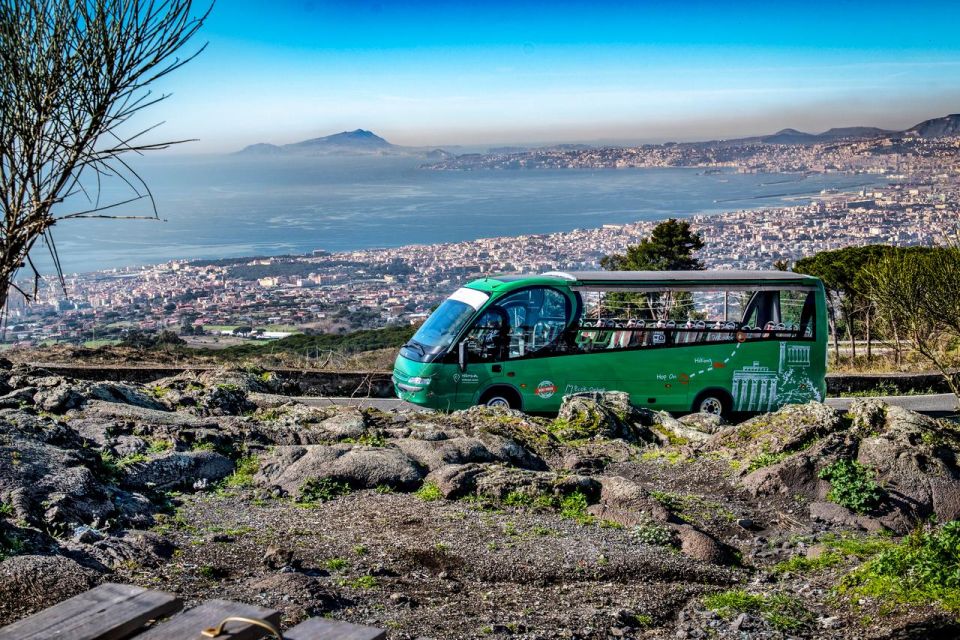 From Rome: Pompeii and Vesuvio Guided Day Trip With Lunch - Naturalistic Tour Guide Insights