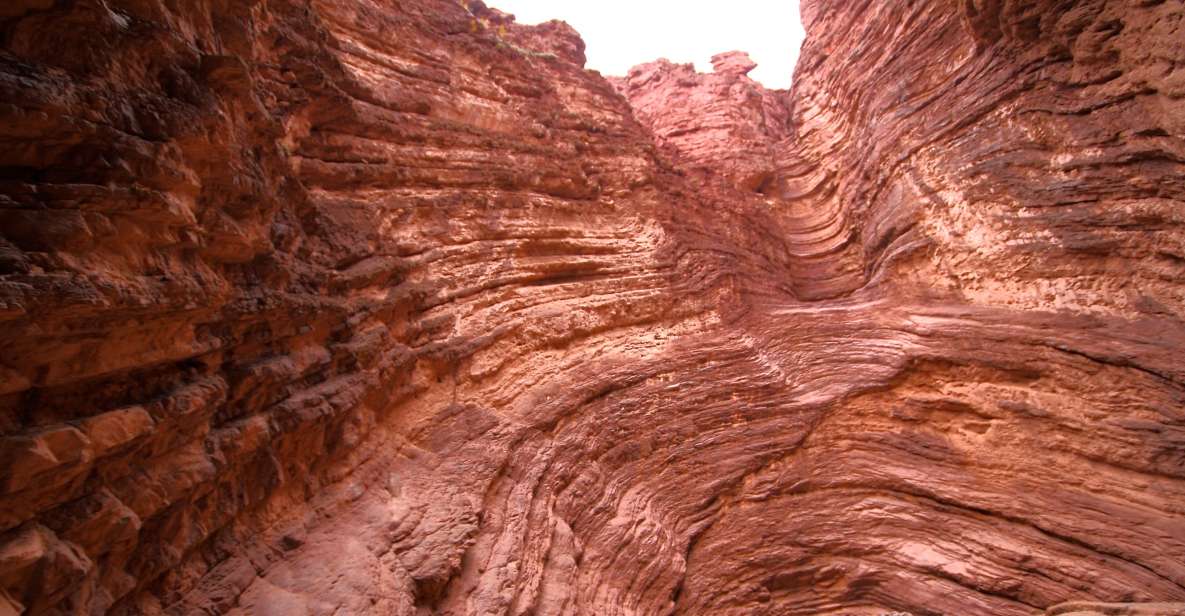 From Salta: Cafayate, Humahuaca & Salinas Grandes 3-Day Tour - Day 3: Exploring Salinas Grandes