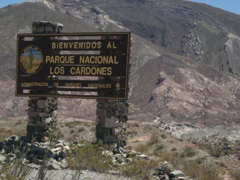 From Salta: Full-Day Scenic Tour to Cachi - Exploring Cachi