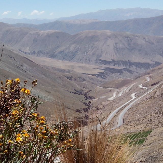 From Salta: Salinas Grandes, Purmamarca & Los Colorados Hike - Customer Reviews