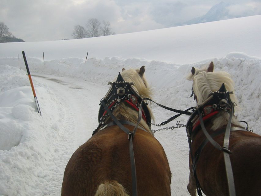 From Salzburg: Romantic Sleigh Ride Through the Countryside - Customer Reviews and Ratings