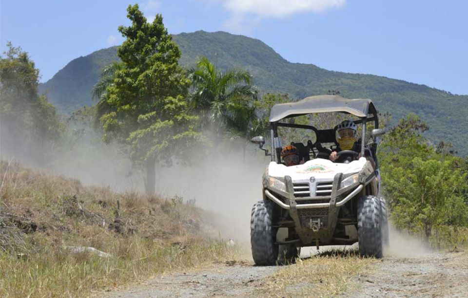 From Samana: Baiguate Waterfall and Jarabacoa Buggy Tour - Local Lunch Experience