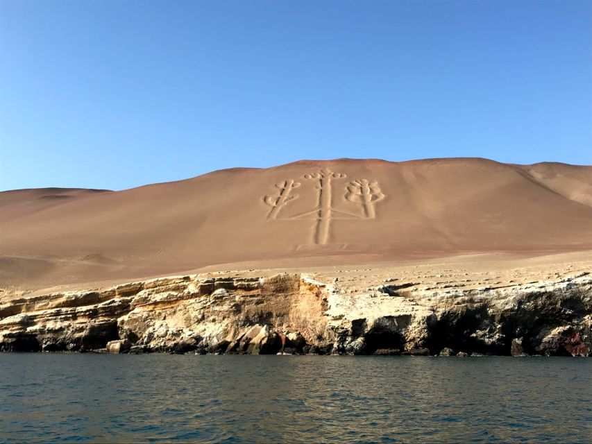 From San Martin: Ballestas Islands and Paracas Reserve - Customer Experience and Ratings