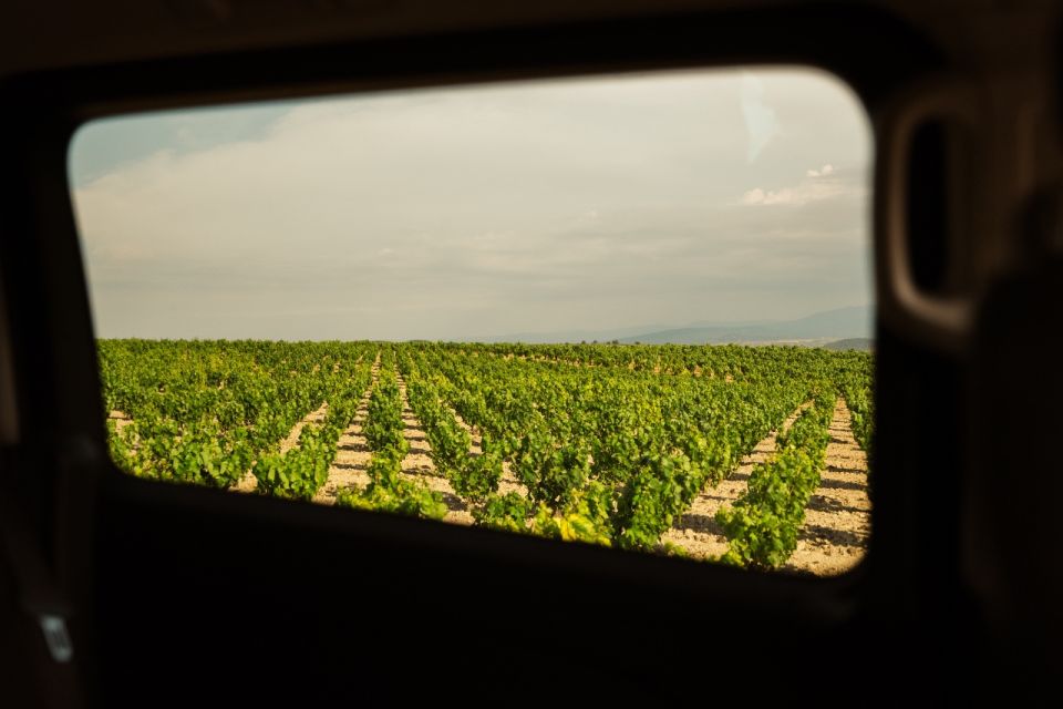 From San Sebastian: Rioja Uncorked - Private Wineries Trip - Scenic Views