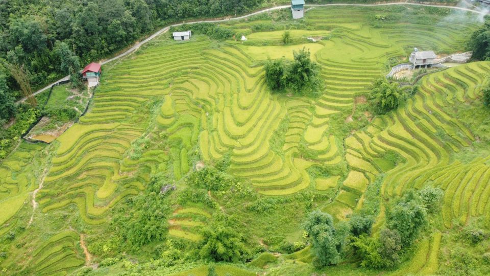 From Sapa: Terrace Fields and Local Villages Trek With Lunch - Customer Reviews and Ratings