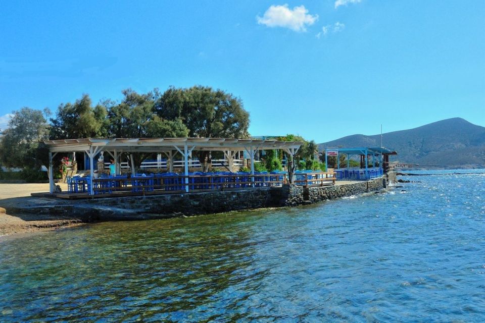 From Sifnos: Antiparos and Despotiko Tour - Tips for Travelers