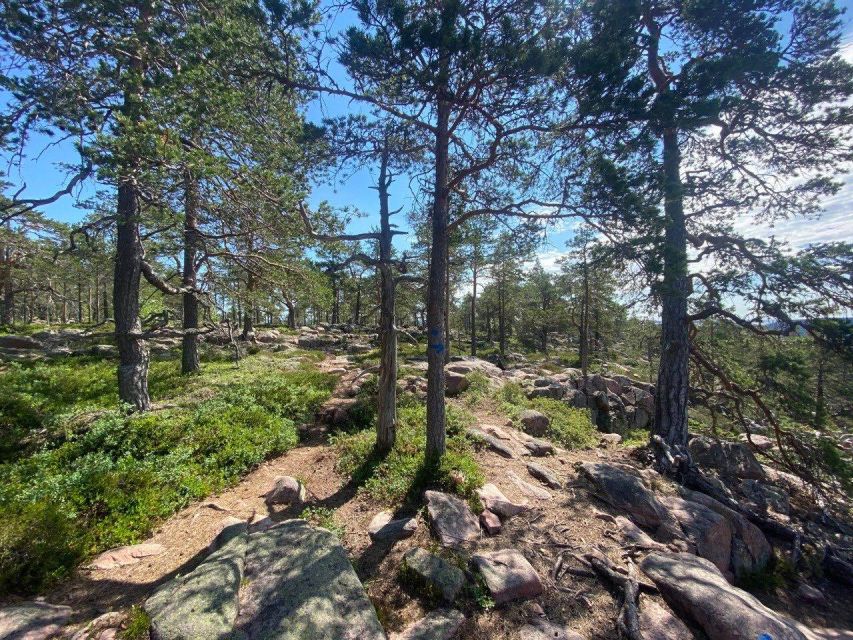 From Stockholm: 4-Day Hiking Trip in Central Sweden - Cancellation Policies