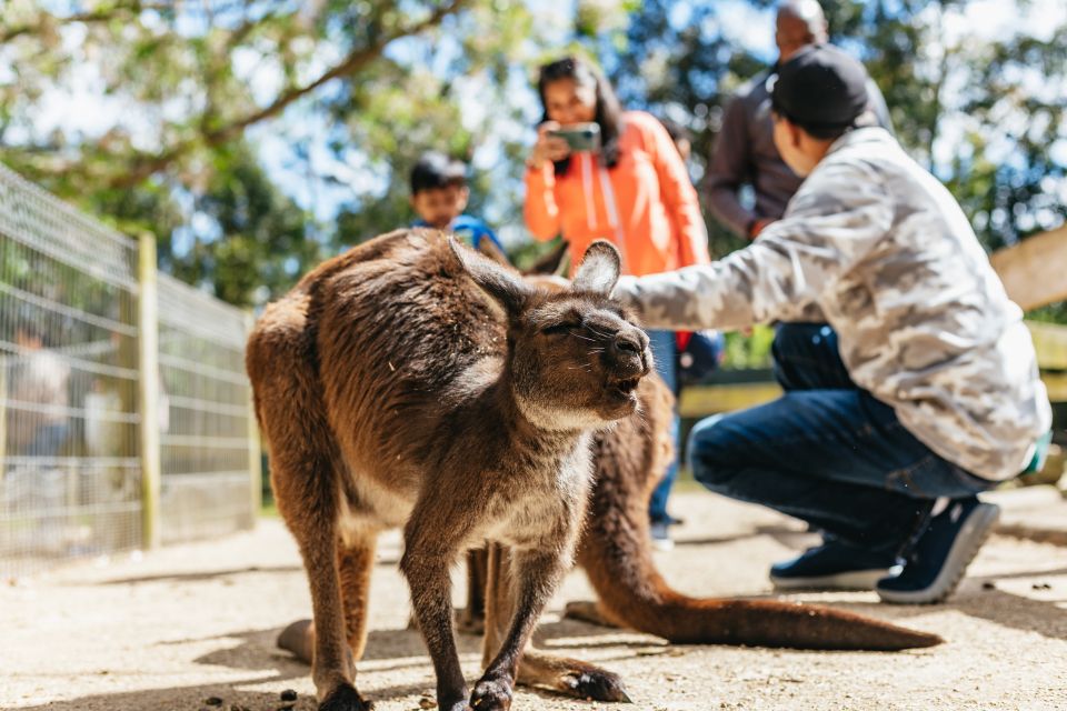 From Sydney: Blue Mountains Full-Day Trip - Travel Directions