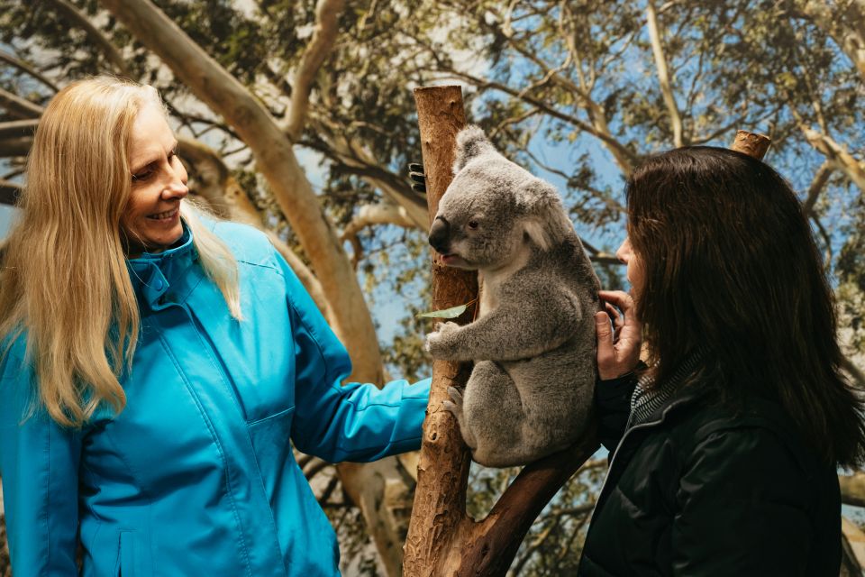 From Sydney: Blue Mountains Nature and Wildlife Tour - Directions