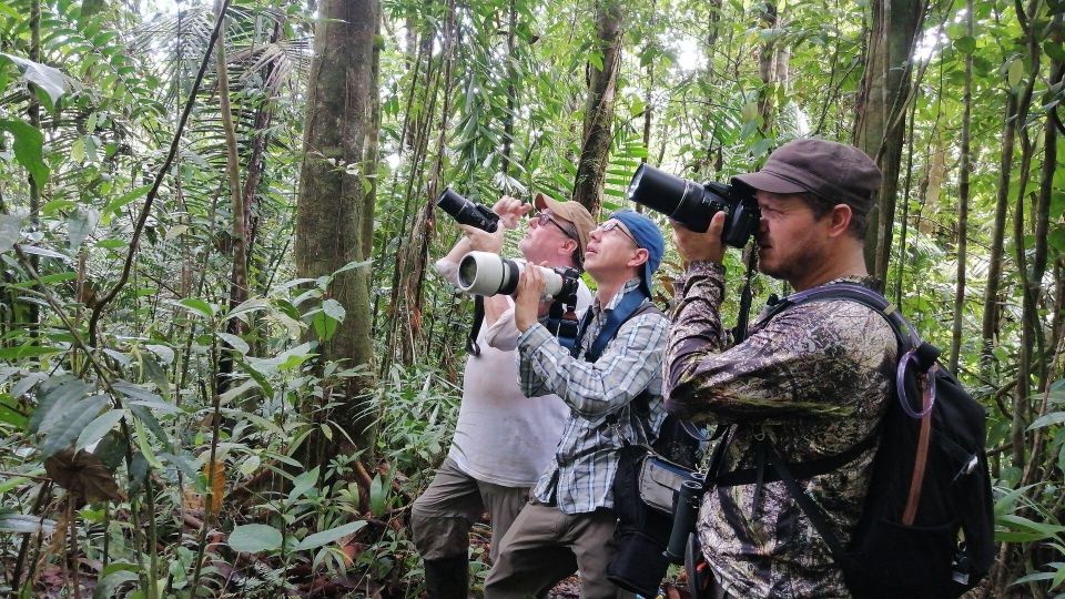 From Tambopata Photography Tour - 8 Days - Tambopata Gold Mines