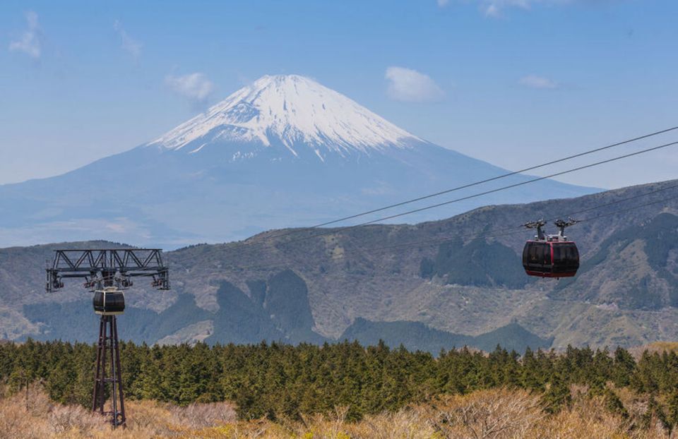 From Tokyo: Hakone and Owakudani Private Day Trip - Passenger Insurance and Toll Fees