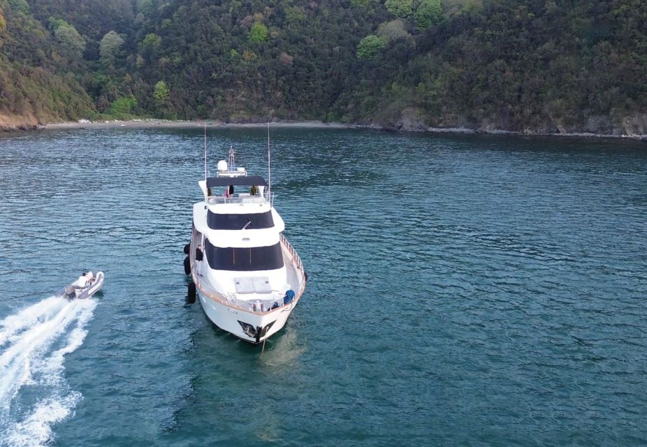 From Torba: Bodrum Coast Private Yacht Tour With Swim Stops - Accessibility Features