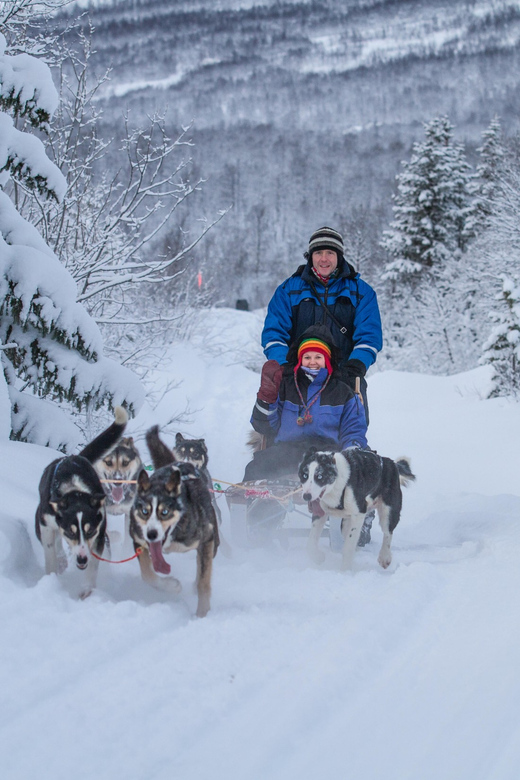 From Tromsø: Advanced Dog Sledding Tour at Camp Tamok - Customer Reviews and Ratings