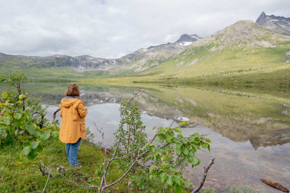 From Tromsø: Arctic Roadtrip - Delicious Organic Lunch Included