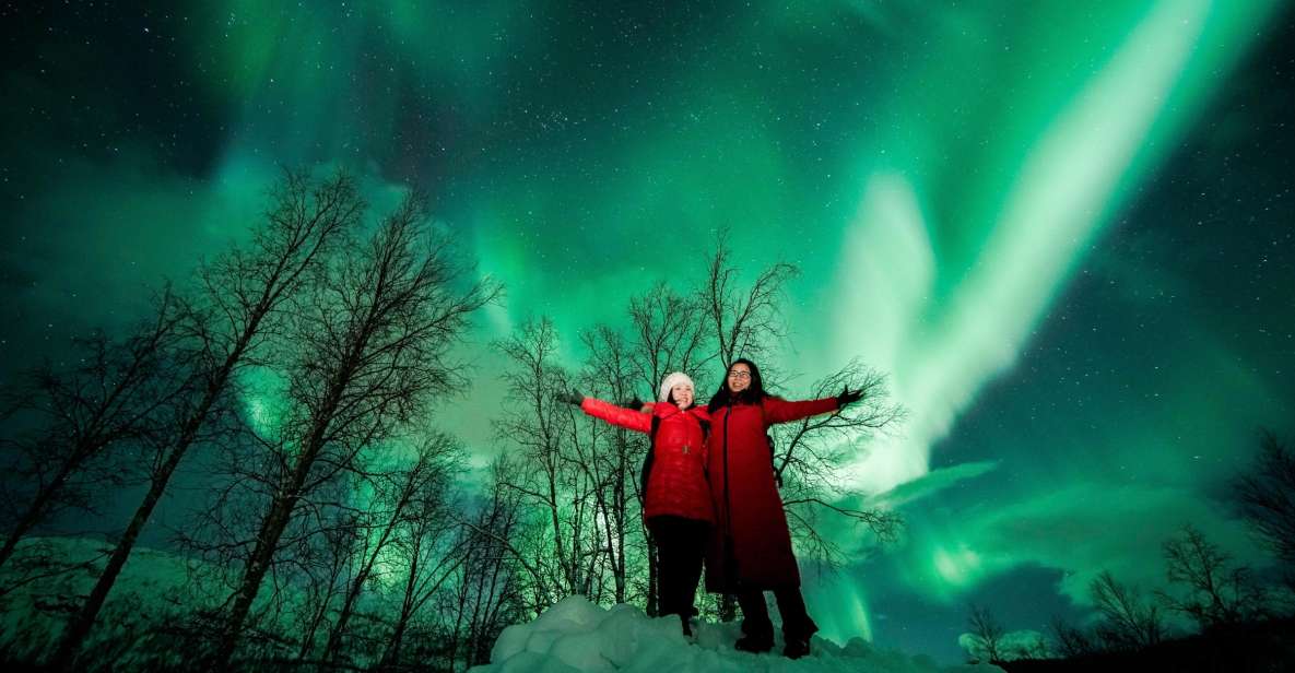 From Tromsø: Aurora Borealis Tour - Customer Ratings