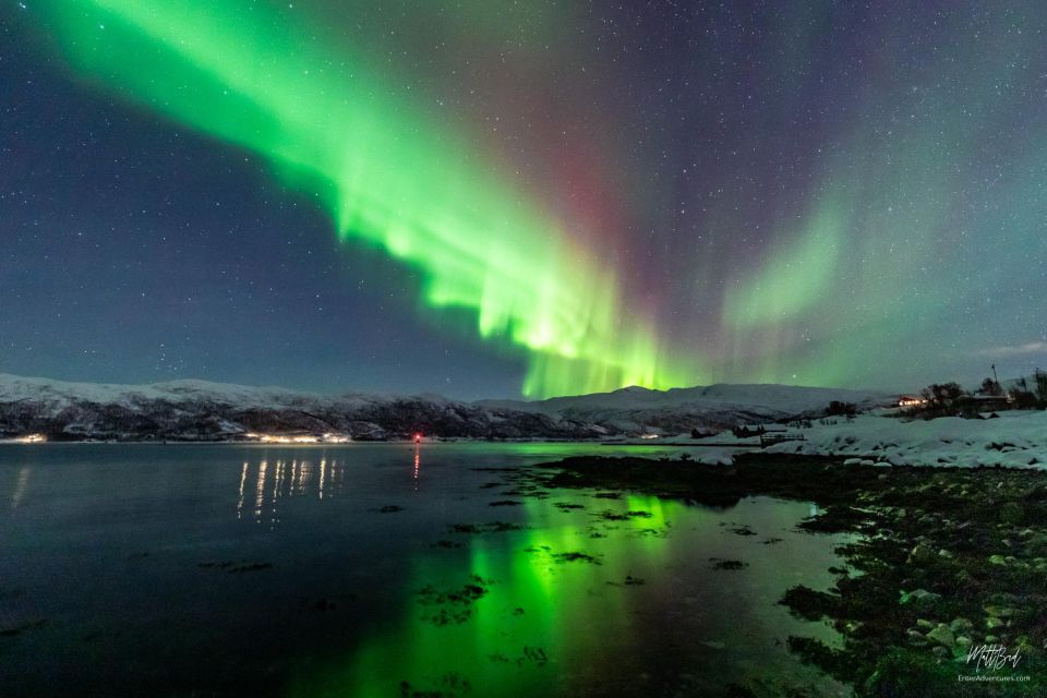 From Tromsø: Northern Lights Chase With Photos and Dinner - Meeting Point Details
