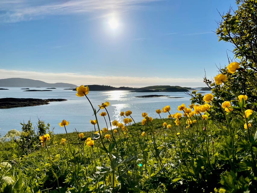 From Tromsø: Sea Kayaking Tour at Sommarøy With Transfer - Important Information