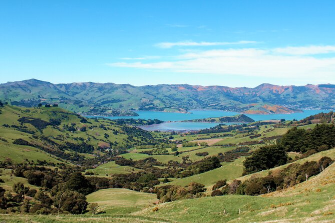 Full-Day Akaroa Tour With Penguins Safari and Wine Tasting - Accessibility Features