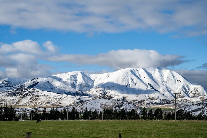 Full Day Arthurs Pass Tour With Tranzalpine Train in New Zealand - Traveler Experiences