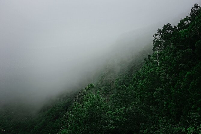 Full-Day Bus Tour to La Gomera Island With Professional Guide - Lunch Included - Important Tips