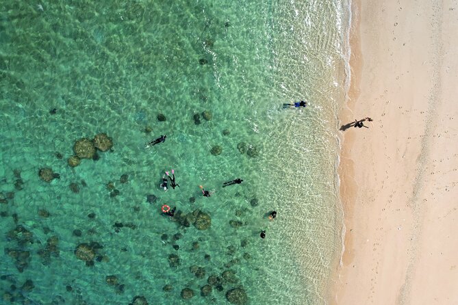 Full-Day Cruise Tour to Frankland Islands Great Barrier Reef - Accessibility Information