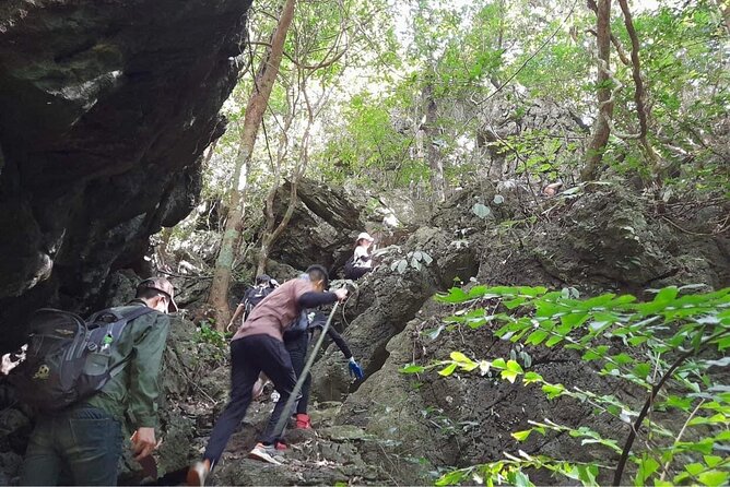Full-Day Cuc Phuong National Park Hiking Tour - Hiking Highlights