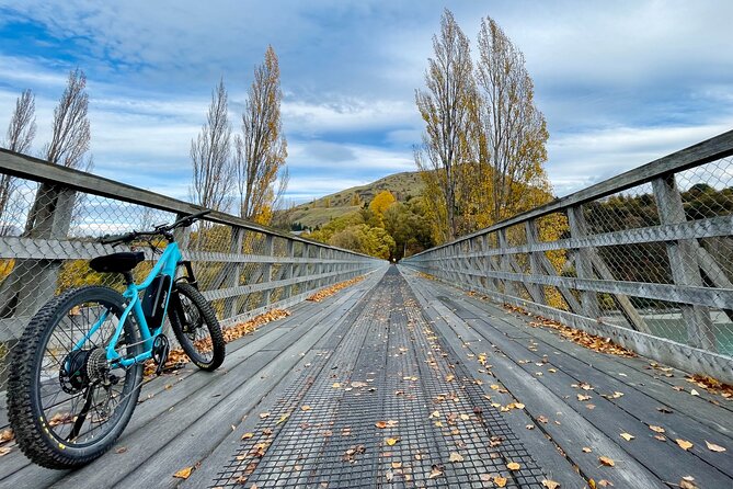 Full-Day E-Mountain Bike Rental in Queenstown - Customer Reviews and Experiences