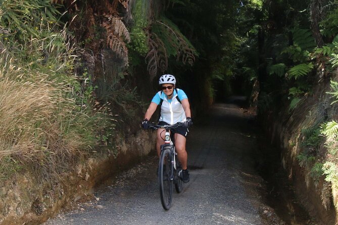 Full Day Ebike Tour in Karangahake Gorge (ex Auckland) - Customer Reviews