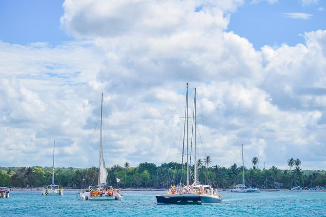 Full-Day Excursion in Saona Island - Alternative Options to Consider