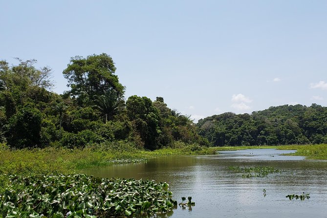 Full-Day Gatun Lake and Indian Village Tour From Panama City - Tips for a Great Experience